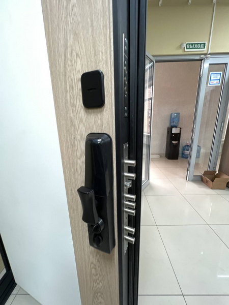 ТЕЙЯ (ЭЛЕКТРОННЫЙ ЗАМОК) ТЕЙЯ (ЭЛЕКТРОННЫЙ ЗАМОК)