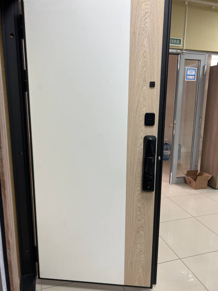 ТЕЙЯ (ЭЛЕКТРОННЫЙ ЗАМОК) ТЕЙЯ (ЭЛЕКТРОННЫЙ ЗАМОК)