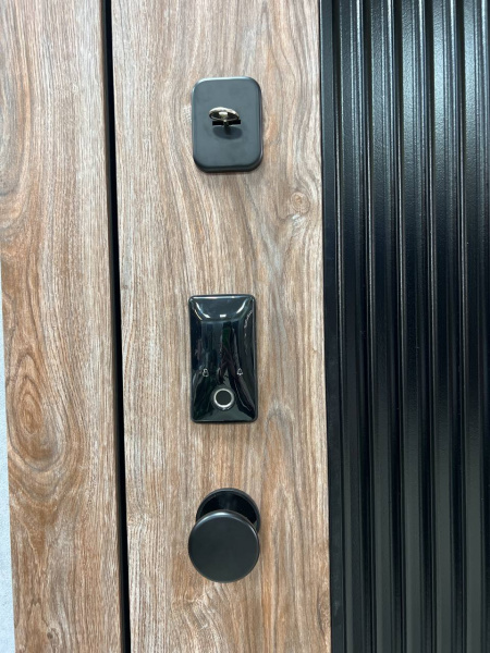 ТЕЙЯ (ЭЛЕКТРОННЫЙ ЗАМОК) ТЕЙЯ (ЭЛЕКТРОННЫЙ ЗАМОК)